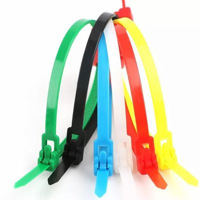 Custom For Price Electrical Plastic Nylon/PA66 Cable Tie Injection Mould Harness