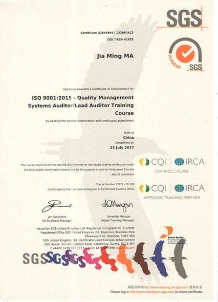 КИТАЙ Guangzhou Haoshun Mold Tech Co., Ltd. Сертификаты